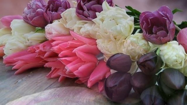 Мелодия для души. 8  Марта.