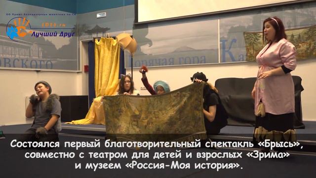 Живой отчет о работе приюта «Лучший Друг». Январь 2020 смотреть онлайн