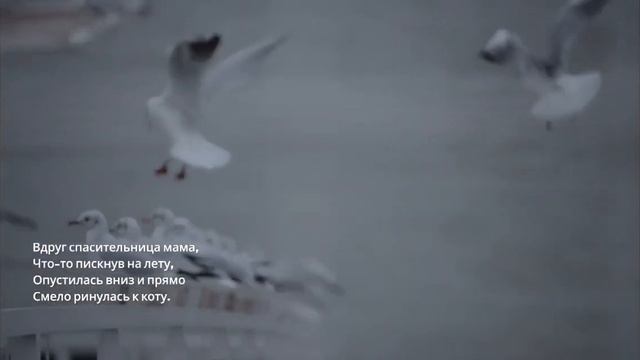 Эдуард Асадов — Храбрая мама Стих смотреть онлайн