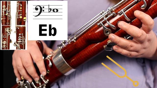 How to Play Beginning Bassoon Notes & Fingerings (Great for Band Class!) смотреть онлайн