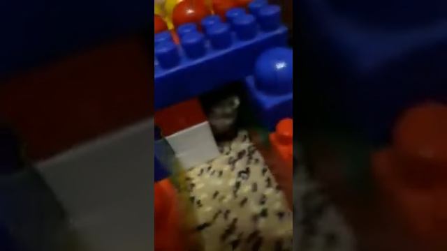 Крыса в доме смотреть онлайн