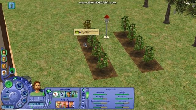 Компактная династия Аппендикс | The Sims 2 | серия 15 | И снова День рождения! смотреть онлайн
