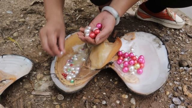 A huge black pearl shell that produces precious nine headed premium pearls смотреть онлайн