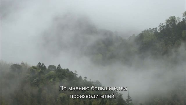 The TEA/Чай история одного листа. 1 серия Родина смотреть онлайн