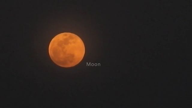 Working Model - Sun, Earth and Moon смотреть онлайн
