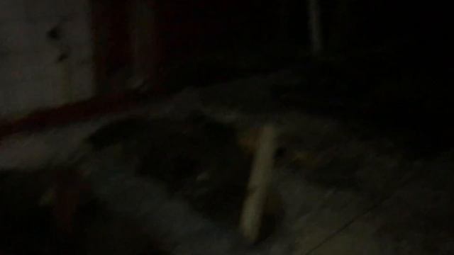 Заброшенный Клуб | Тимка Чуваш Глухой смотреть онлайн