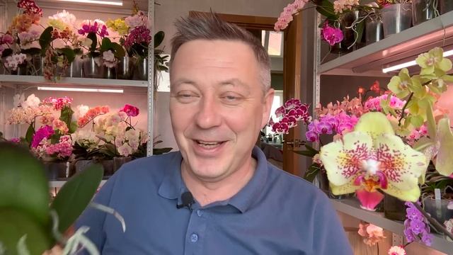 новые ОРХИДЕИ / обзор орхидей и про мартовскую раздачу орхидей и полезностей на канале 25.03.2023 смотреть онлайн