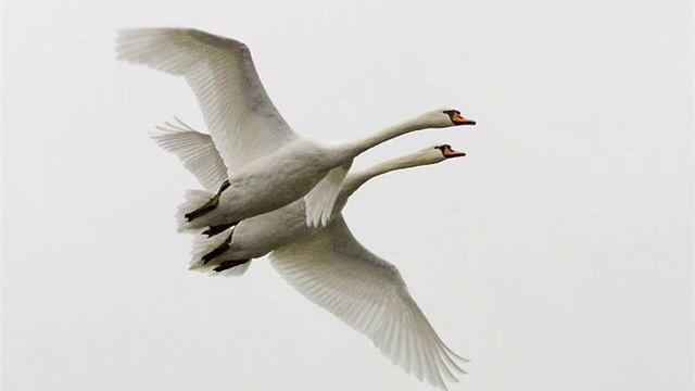 Не исчезай из жизни моей....wmv смотреть онлайн