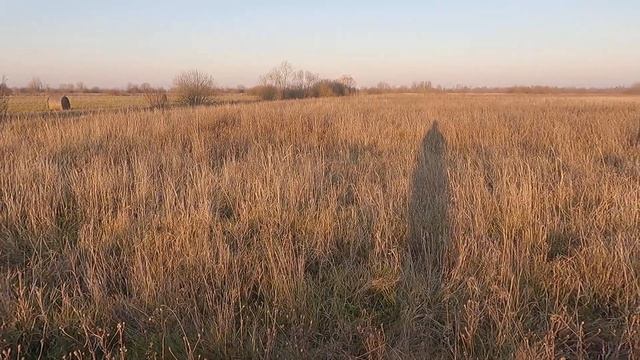 Гаршнеп переместился. И снова - промах! смотреть онлайн