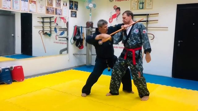 Cane Hapkido Lesson #3