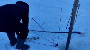 Зимняя рыбалка. река Амур, Комсомольск-на-Амуре