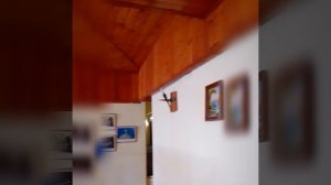 Санаторий Абхазия.Новый Афон. Сентябрь 2023.