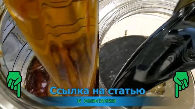 Вся правда о семенах черного тмина в мире.