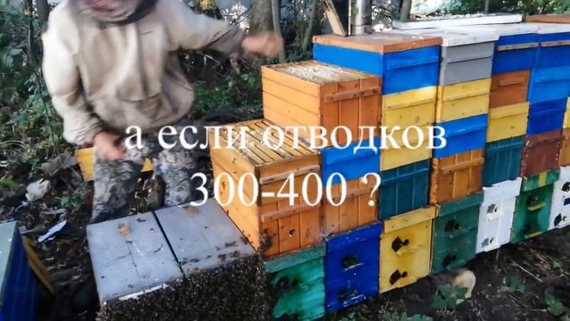 6 рамочный улей используем на медосбор смотреть онлайн