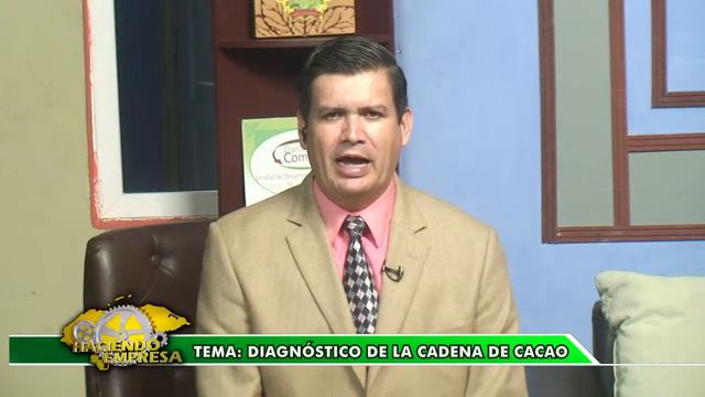 TEMA: DIAGNÓSTICO DE LA CADENA DEL CACAO смотреть онлайн