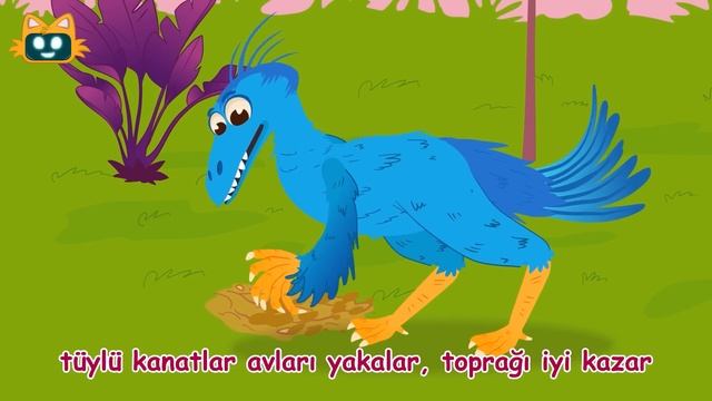 Mor Kuşlar Şarkısı? + Öğretici Çocuk Şarkıları Miniyo | 30 Dakika