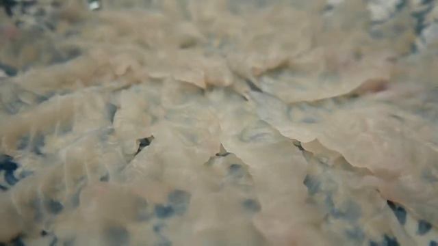 Японская кухня. РЫБА ФУГУ КАК ЕГО ГОТОВИТЬ смотреть онлайн