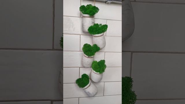 Подвесные кашпо из гипса с мхом смотреть онлайн