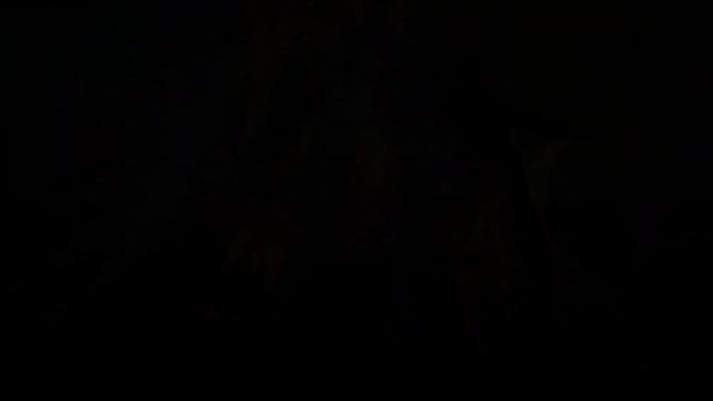 Горящий костёр и пение птиц смотреть онлайн