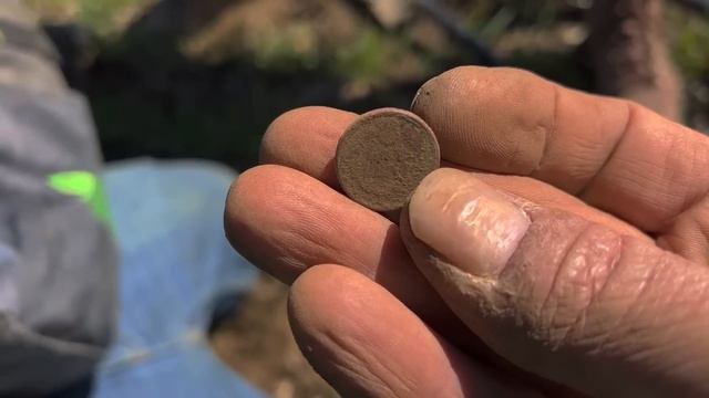 Storybook Ending! - Metal Detecting a PIRATE Cache Field For Old World Hammered Silver Coins! смотреть онлайн