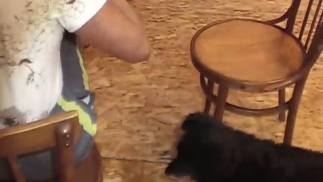 Бататы и дайконы смотреть онлайн