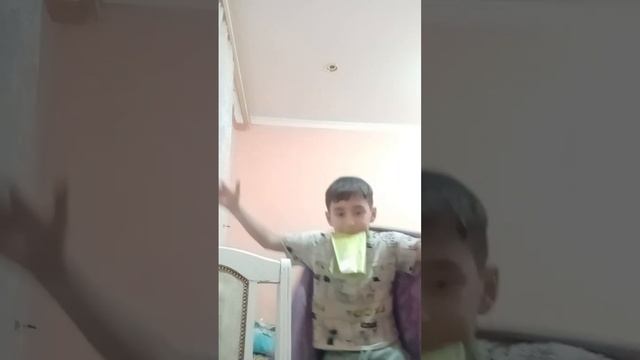 РОЗОВЫЙ ГУСЬ СМОТРИТ В ОКНО хочет понять почему так темно