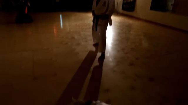 Miami Shotokan Karate Club - Demonstration