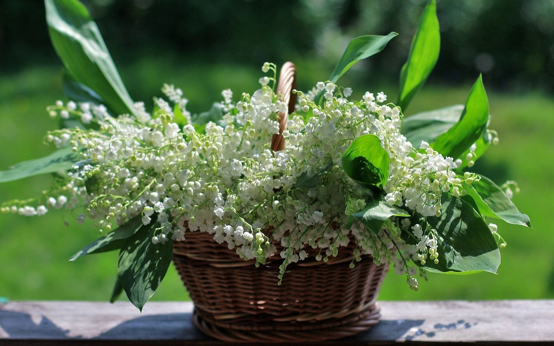 Sakis Rouvas Megalicious Chart Live Part 1.mp4 смотреть онлайн