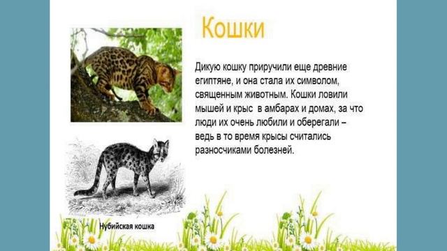 Предшкола .Естествознание.