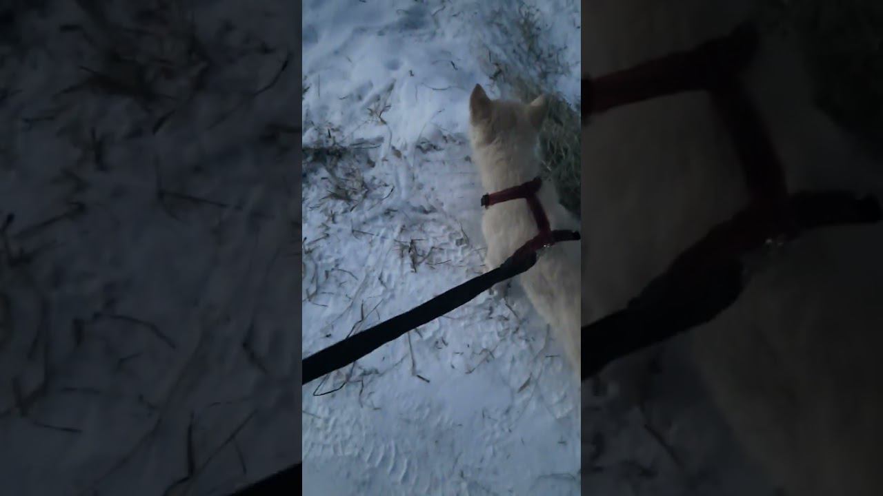 20240213 180731 смотреть онлайн