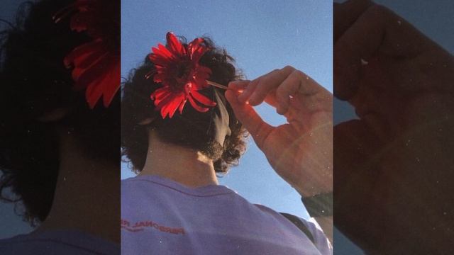 Новая цыганская песня ⚜️ 2023 [Yo Soy de los Fernandez] этот трек ищют все смотреть онлайн