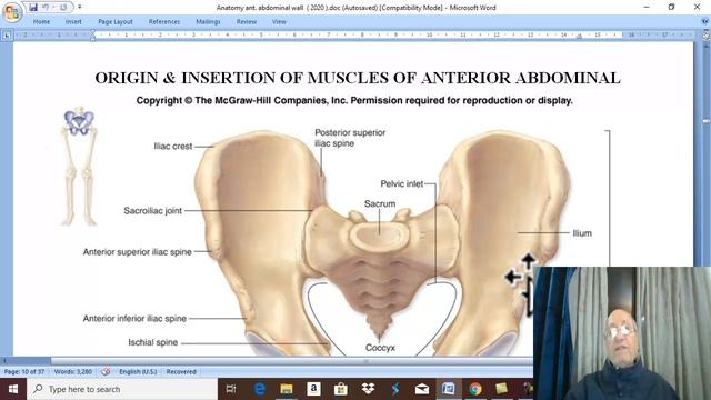 Anatomy GIT module in English 2021 ( Endoabdominal fascia ) , by Dr. Wahdan смотреть онлайн