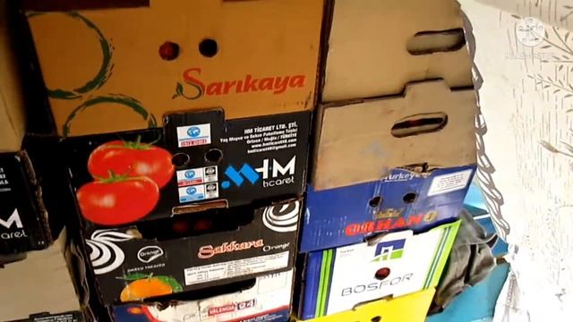 Клубника Румба.Открытый грунт. смотреть онлайн