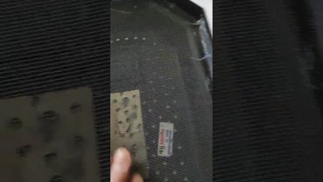 что сделать что бы тараканы не сбежали ? смотреть онлайн