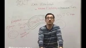 Как правильно пить кофе ☕