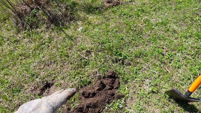 Нашел в поле не пойми что, страшно брать в руки. Коп поиск монет 2022 смотреть онлайн