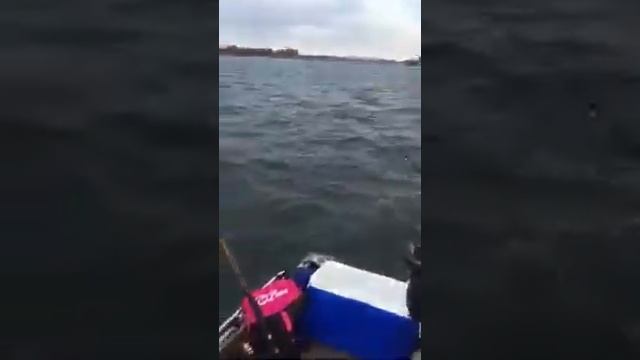 КИТ ПЕРЕВЕРНУЛ ЛОДКУ ПРОСТО ЖУТЬ смотреть онлайн