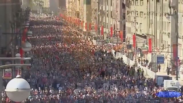 Уроки истории. Василиса Саверская, Александр Саверский