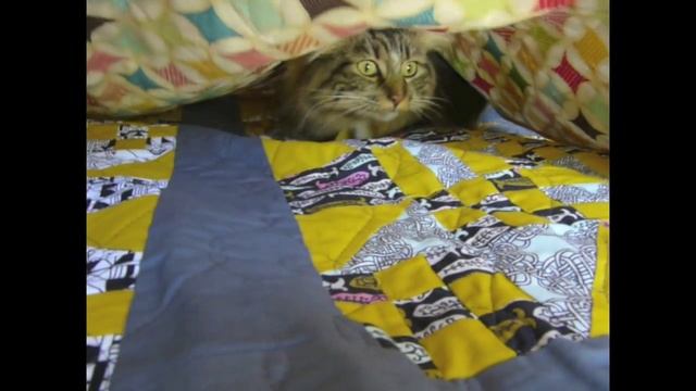 Quilting Happiness: Our Book Trailer! смотреть онлайн