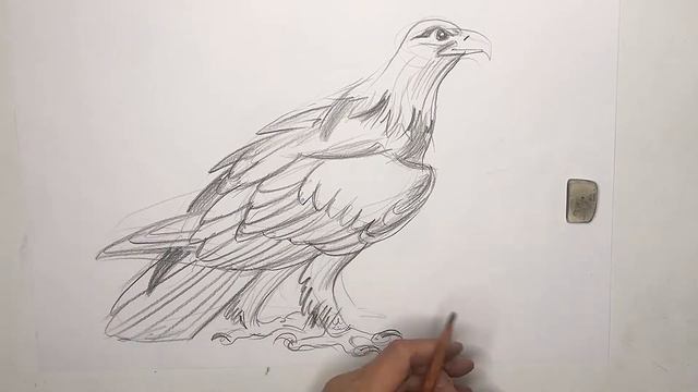 Как нарисовать орла карандашом за 3 минуты / Рисуем орла / 12COLOR / Легко и быстро смотреть онлайн
