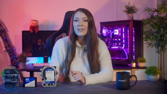 What WD storage is right for your PC in 2021! смотреть онлайн