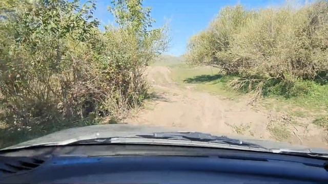 Караганда: по грибы, Осакаровский р-н смотреть онлайн