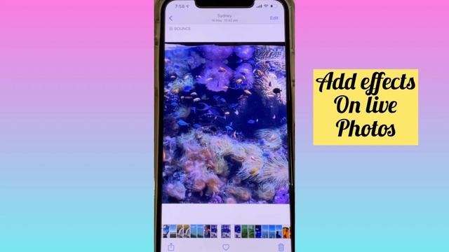 Add live photo effects on iphone | iphone live photo cool hacks and tricks you must know смотреть онлайн