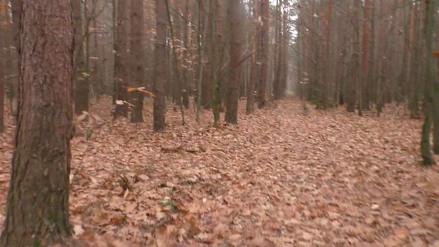 Болят Ноги✅ Как решить эту Проблему✅ ЧАСТЬ 2 смотреть онлайн