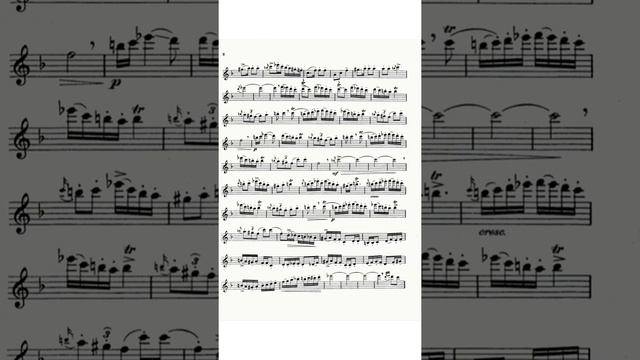 Hora Staccato Dinicu-Heifetz | Arsen Zakaryan, clarinet смотреть онлайн