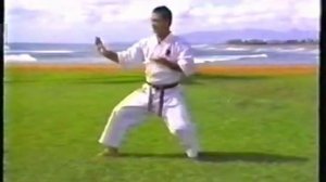 Кеннет Фунакоши - Ката Шотокан. Часть 1.