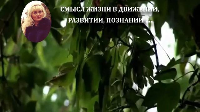 Познание, действие, развитие ... смотреть онлайн
