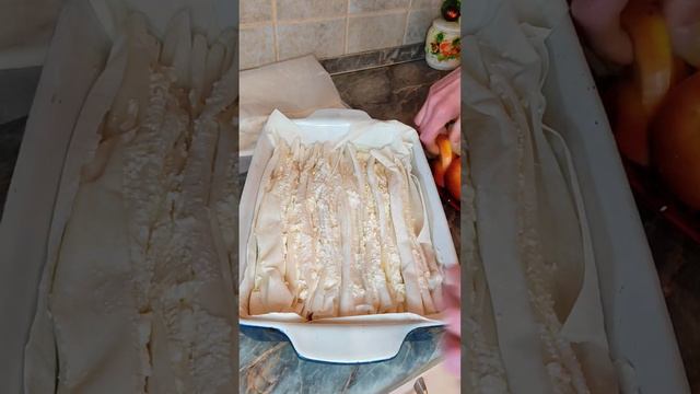 Забавные истории с животными