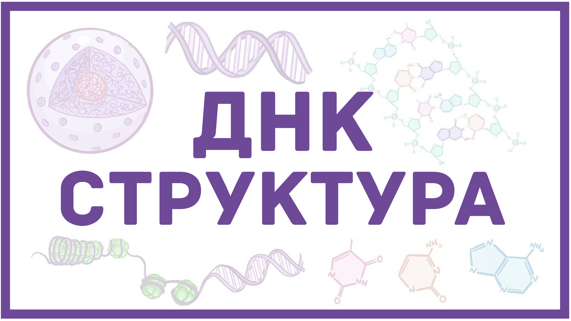 Структура ДНК смотреть онлайн