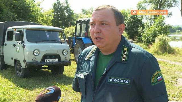 Как уберечь лес от пожара смотреть онлайн